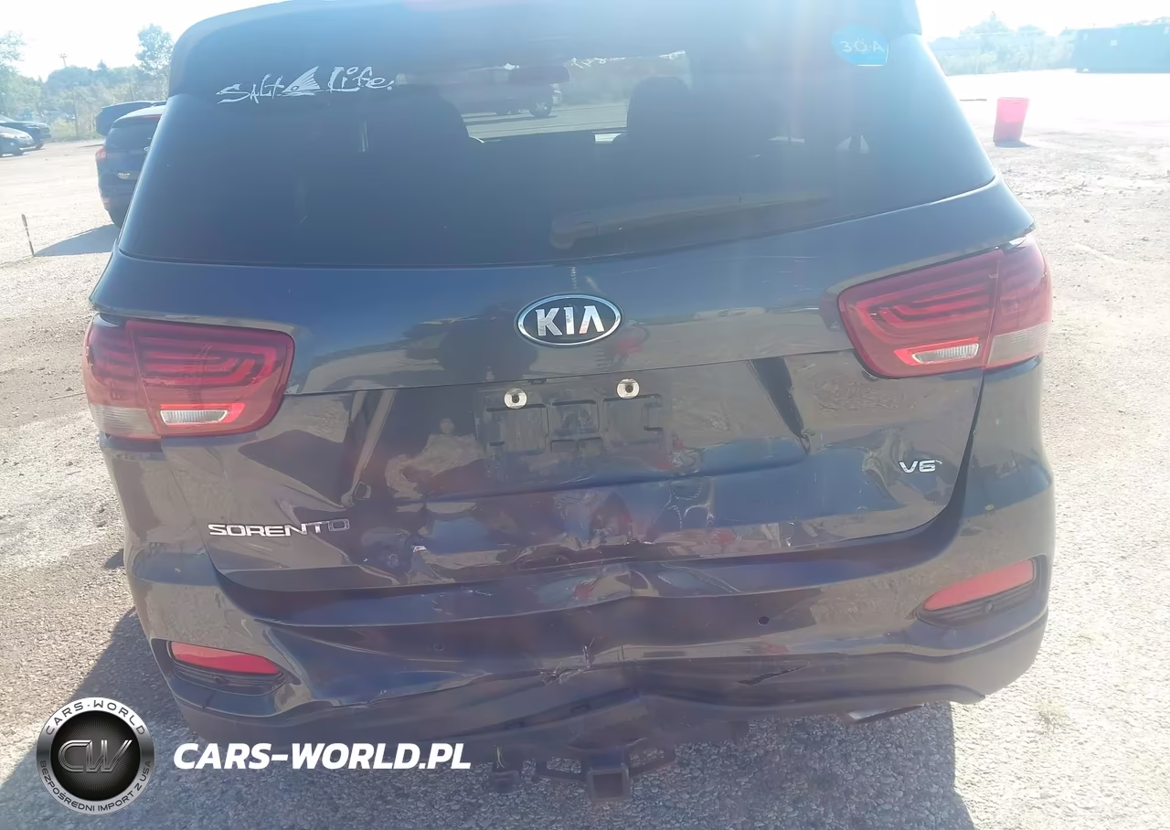2019 Kia Sorento 3.3L Lx VIN:5XYPGDA52KG553208 - 6