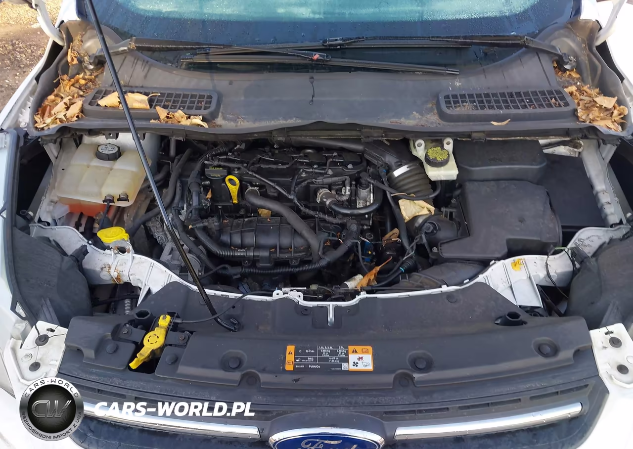 2015 Ford Escape Se VIN:1FMCU9GXXFUA11657 - 10