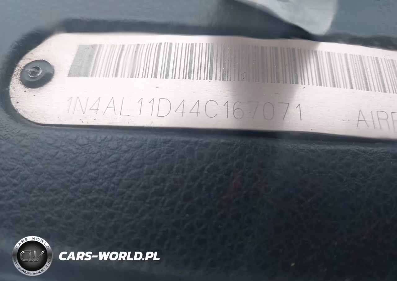 2004 Nissan Altima 2.5 S VIN:1N4AL11D44C167071 - 12