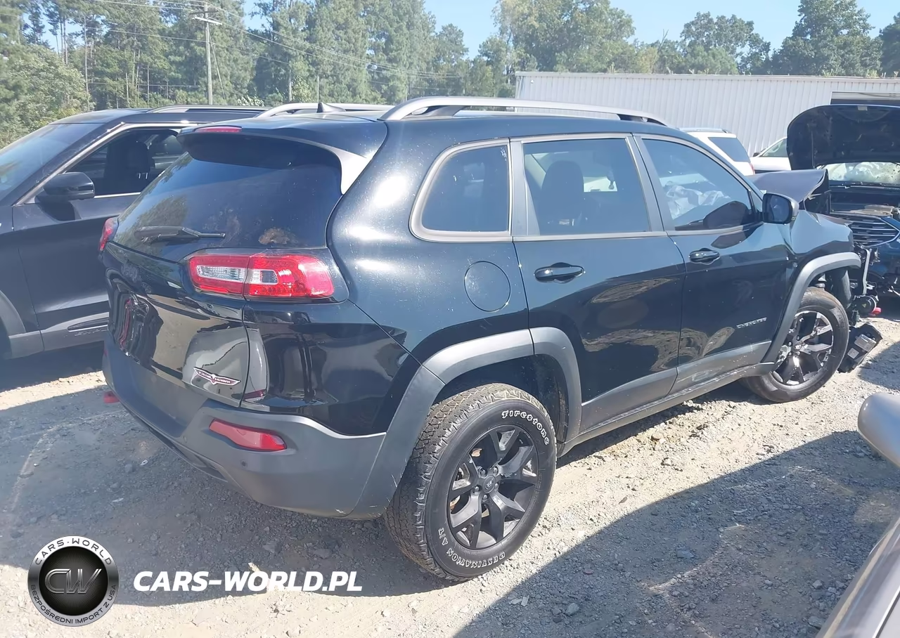 2018 Jeep Cherokee Trailhawk 4X4 VIN:1C4PJMBX4JD549031 - 4