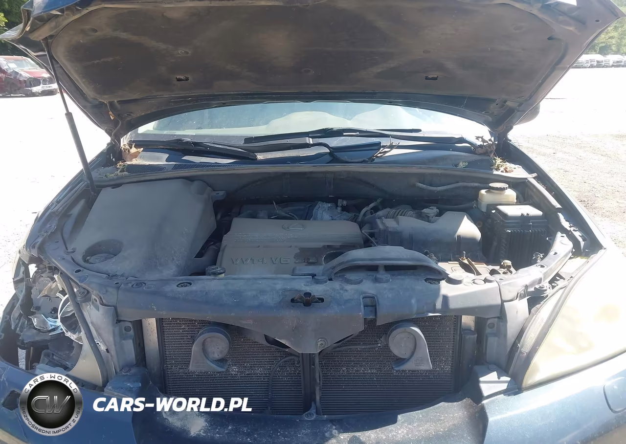 2004 Lexus Rx 330 VIN:2T2HA31U54C015636 - 10