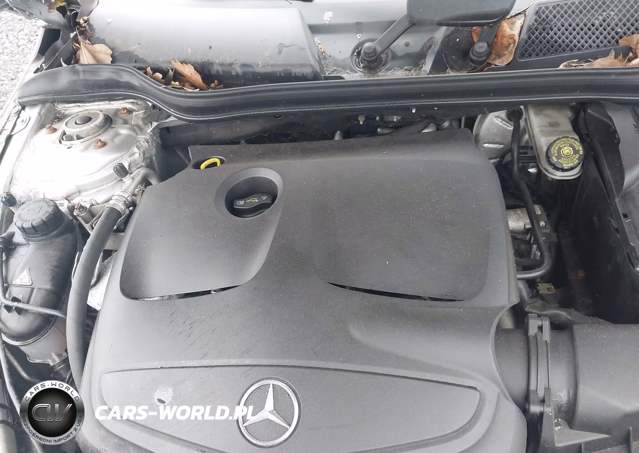 2014 Mercedes-Benz Cla 250 VIN:WDDSJ4EBXEN128172 - 10