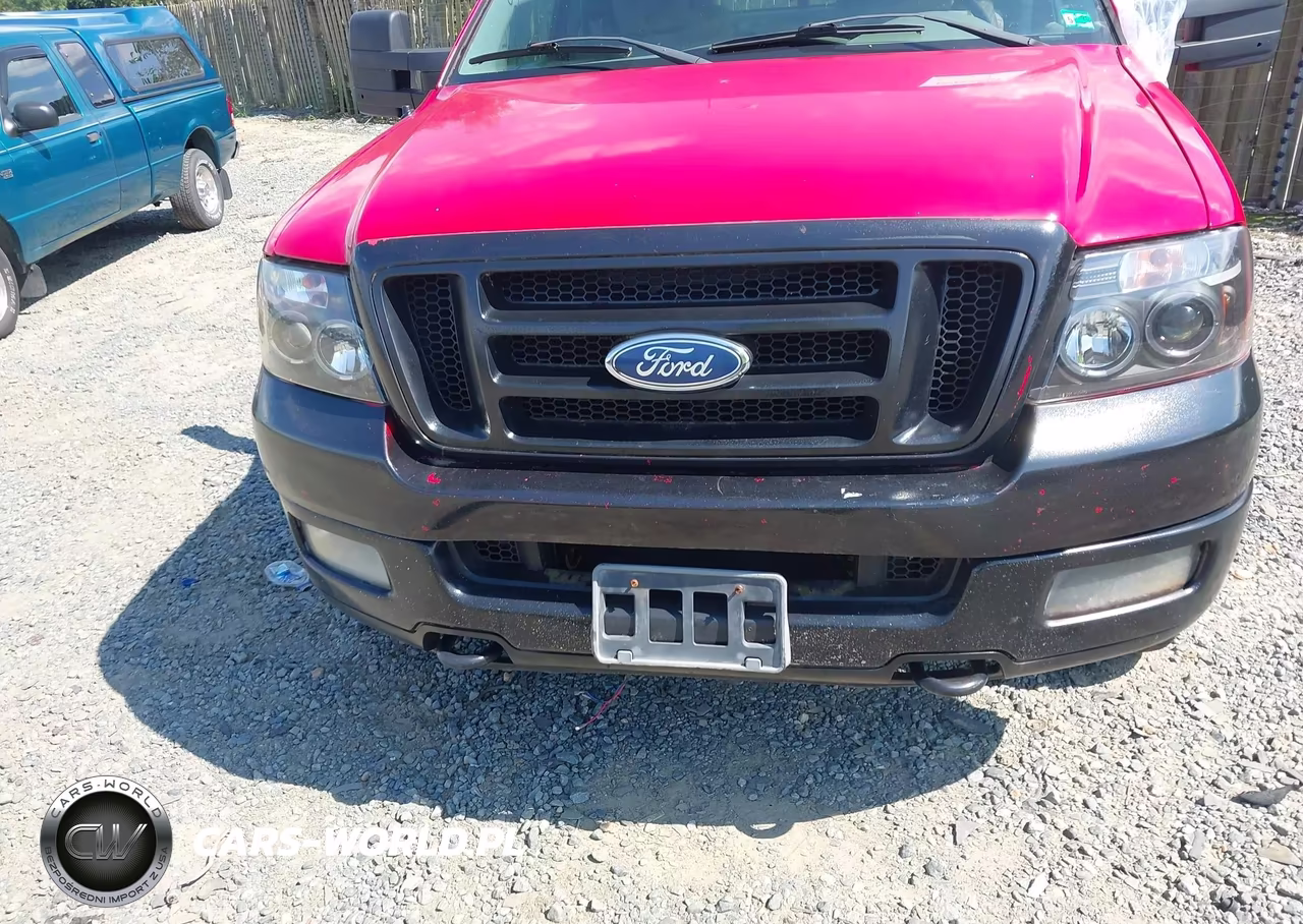 2004 Ford F-150 Stx-Xl-Xlt VIN:1FTRX14W04NB84128 - 6