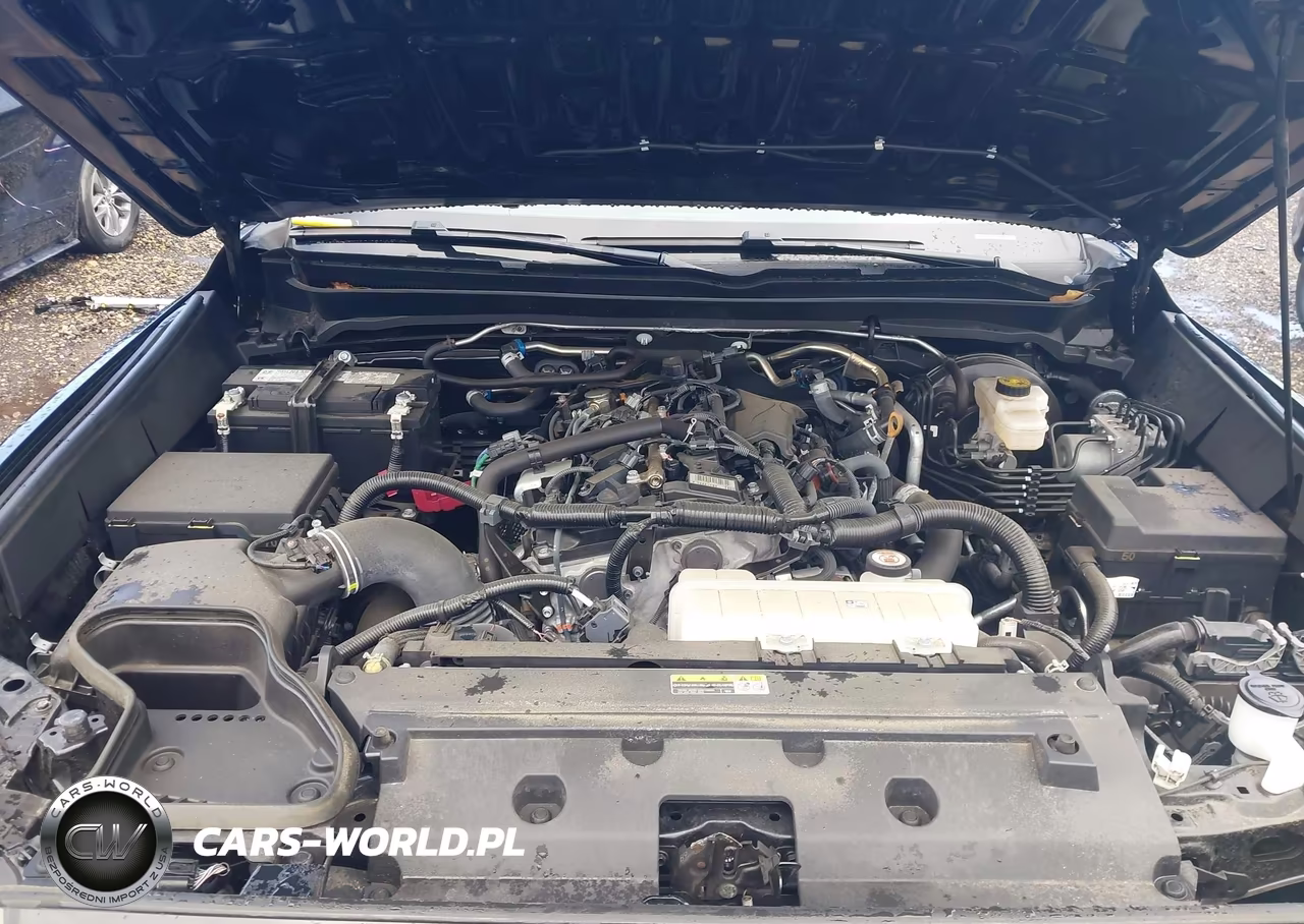 2024 Toyota Tacoma Trd Off Road VIN:3TMLB5JN3RM062971 - 10