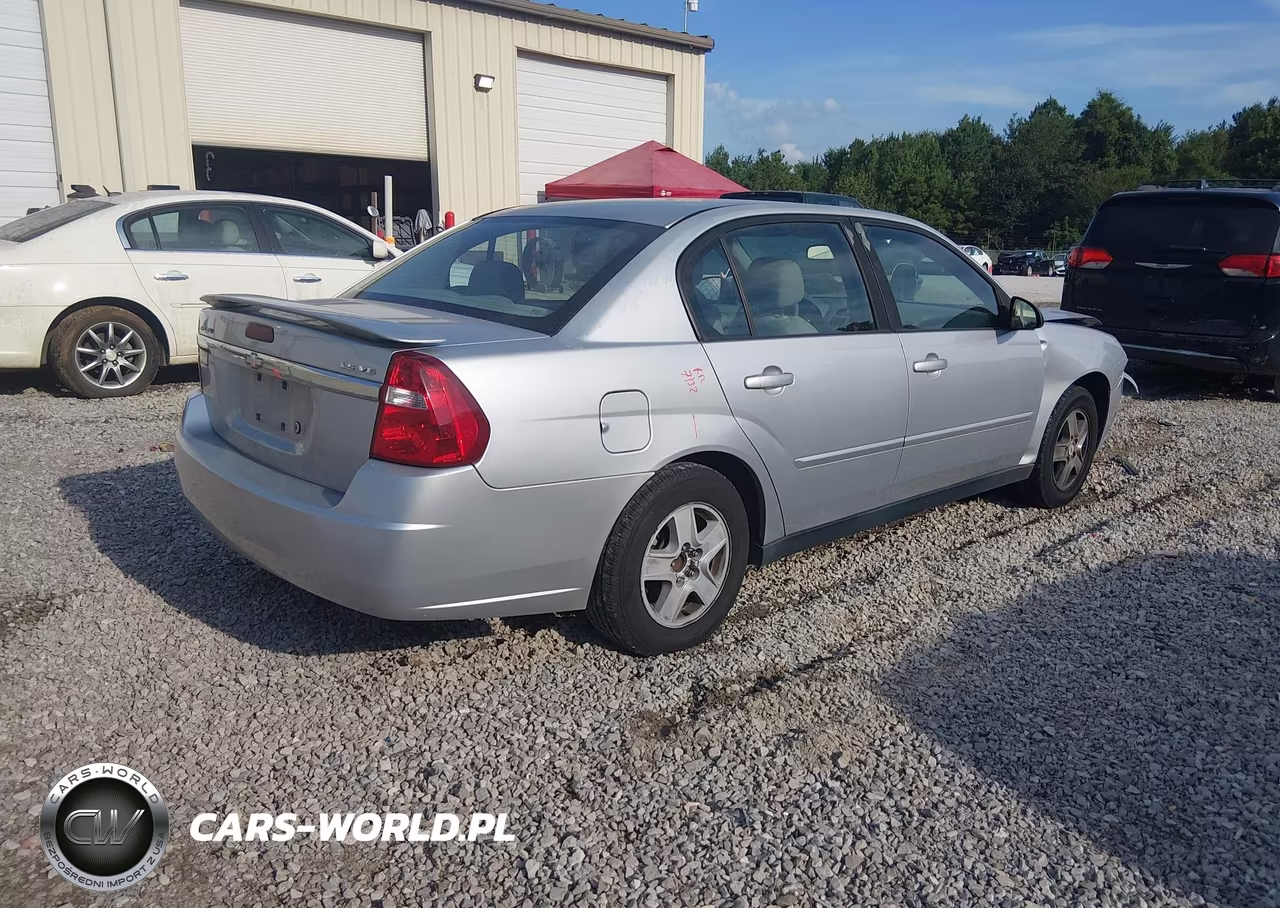 2005 Chevrolet Malibu Ls VIN:1G1ZT54825F177173 - 4