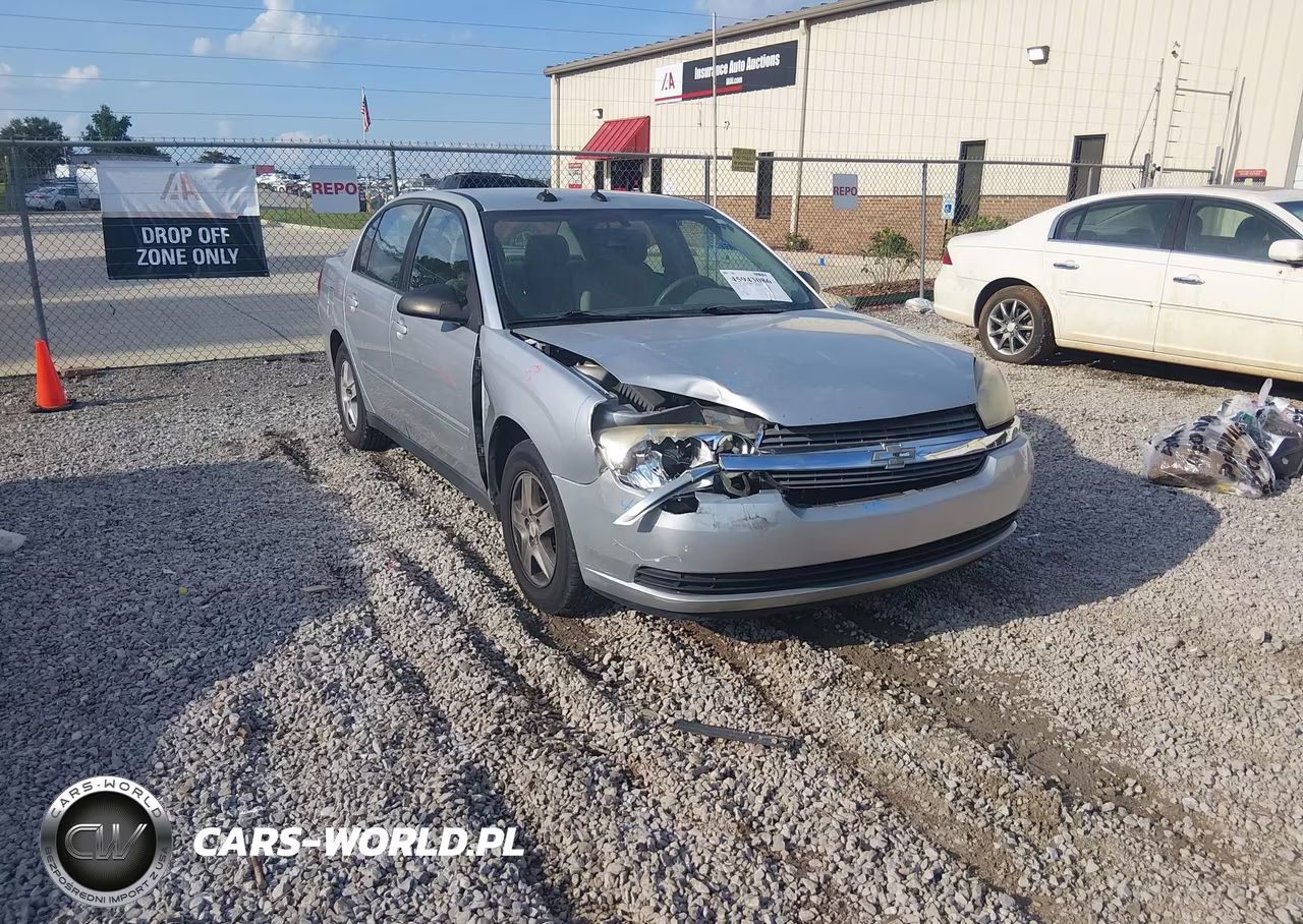 2005 Chevrolet Malibu Ls VIN:1G1ZT54825F177173 - 6