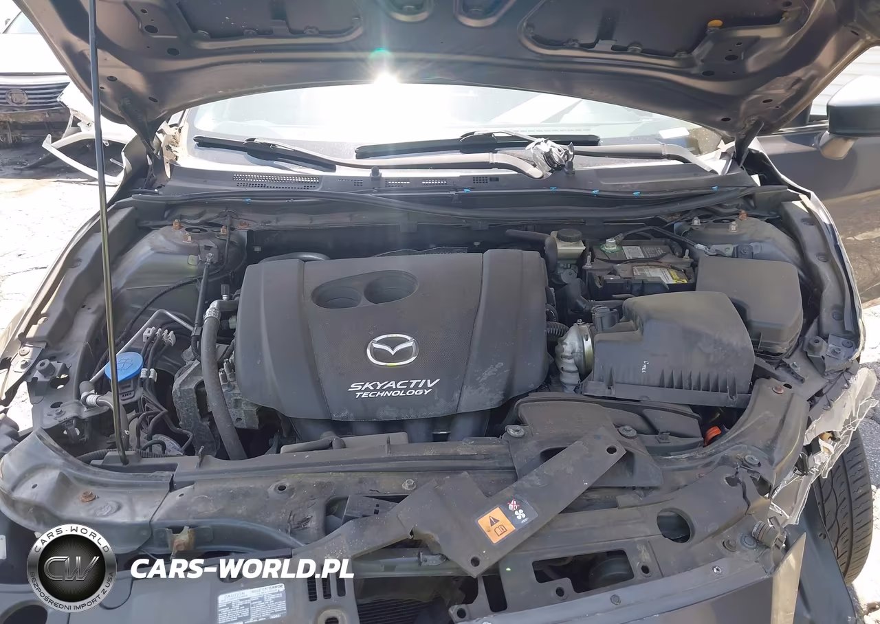 2016 Mazda Mazda3 I Sport VIN:3MZBM1K75GM260010 - 10