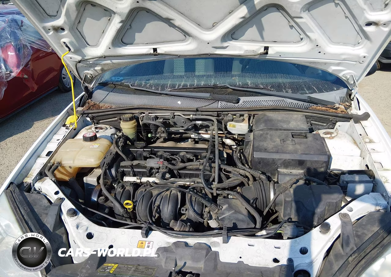 2005 Ford Focus Zxw VIN:1FAHP36N15W194230 - 10