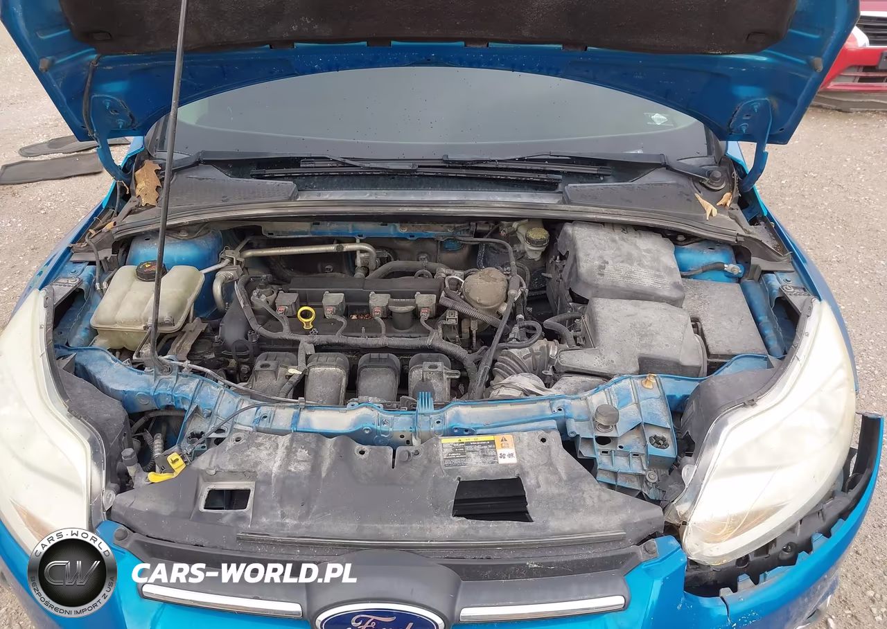 2014 Ford Focus Se VIN:1FADP3K29EL130822 - 10