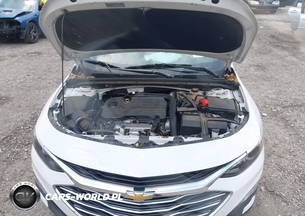 2020 Chevrolet Malibu Fwd Lt VIN:1G1ZD5ST3LF043399 - 10