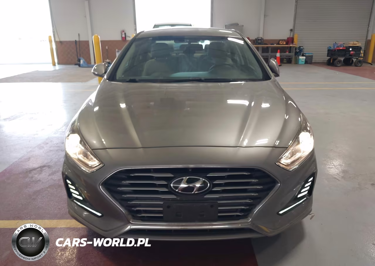 2018 Hyundai Sonata Hybrid Se VIN:KMHE24L3XJA086826 - 17