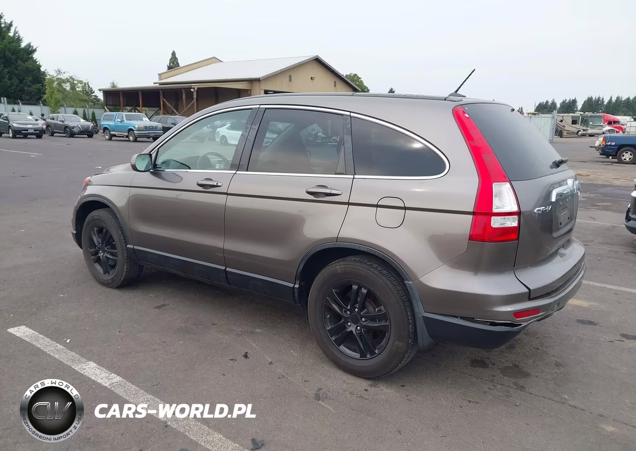 2010 Honda Cr-V Ex-L VIN:5J6RE4H74AL054624 - 3
