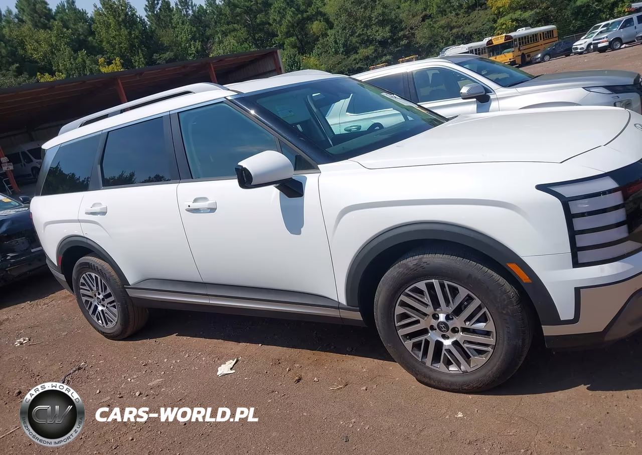 2026 Hyundai Palisade Sel 7P VIN:KM8RL5S24TU127501 - 13