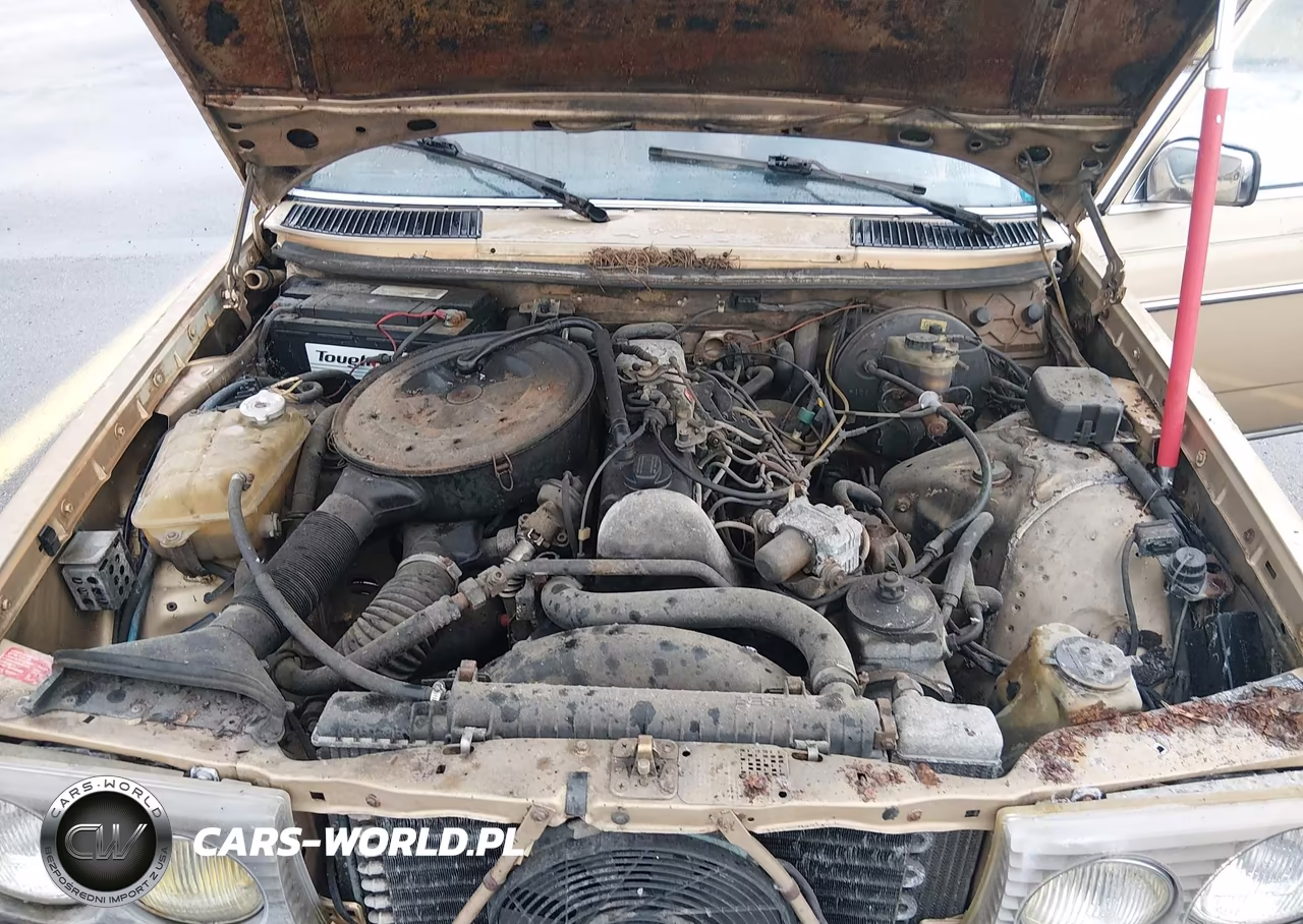 1984 Mercedes-Benz 300 Dt VIN:WDBAB33A5EA143286 - 10