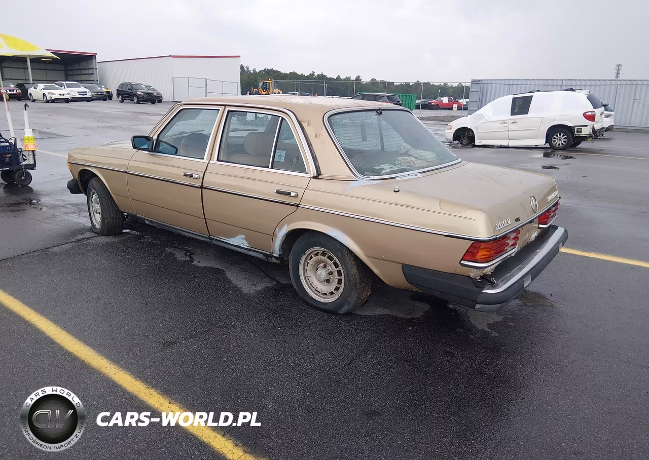 1984 Mercedes-Benz 300 Dt VIN:WDBAB33A5EA143286 - 3