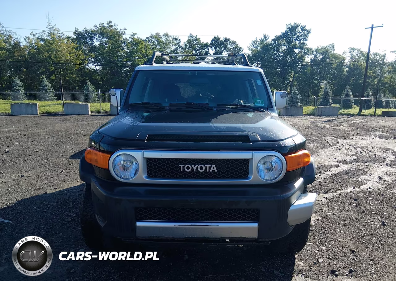 2007 Toyota Fj Cruiser VIN:JTEBU11F670020264 - 12