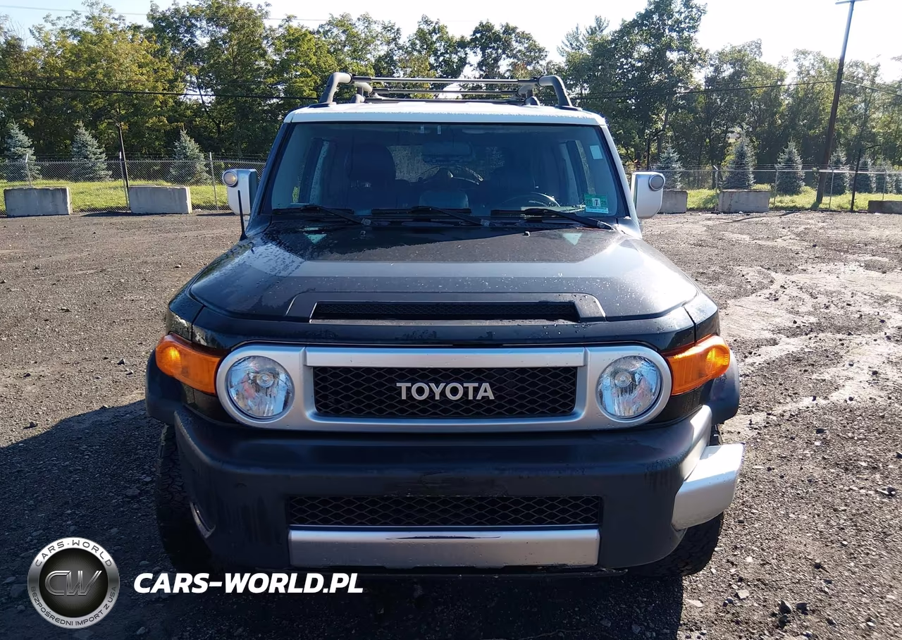 2007 Toyota Fj Cruiser VIN:JTEBU11F670020264 - 6