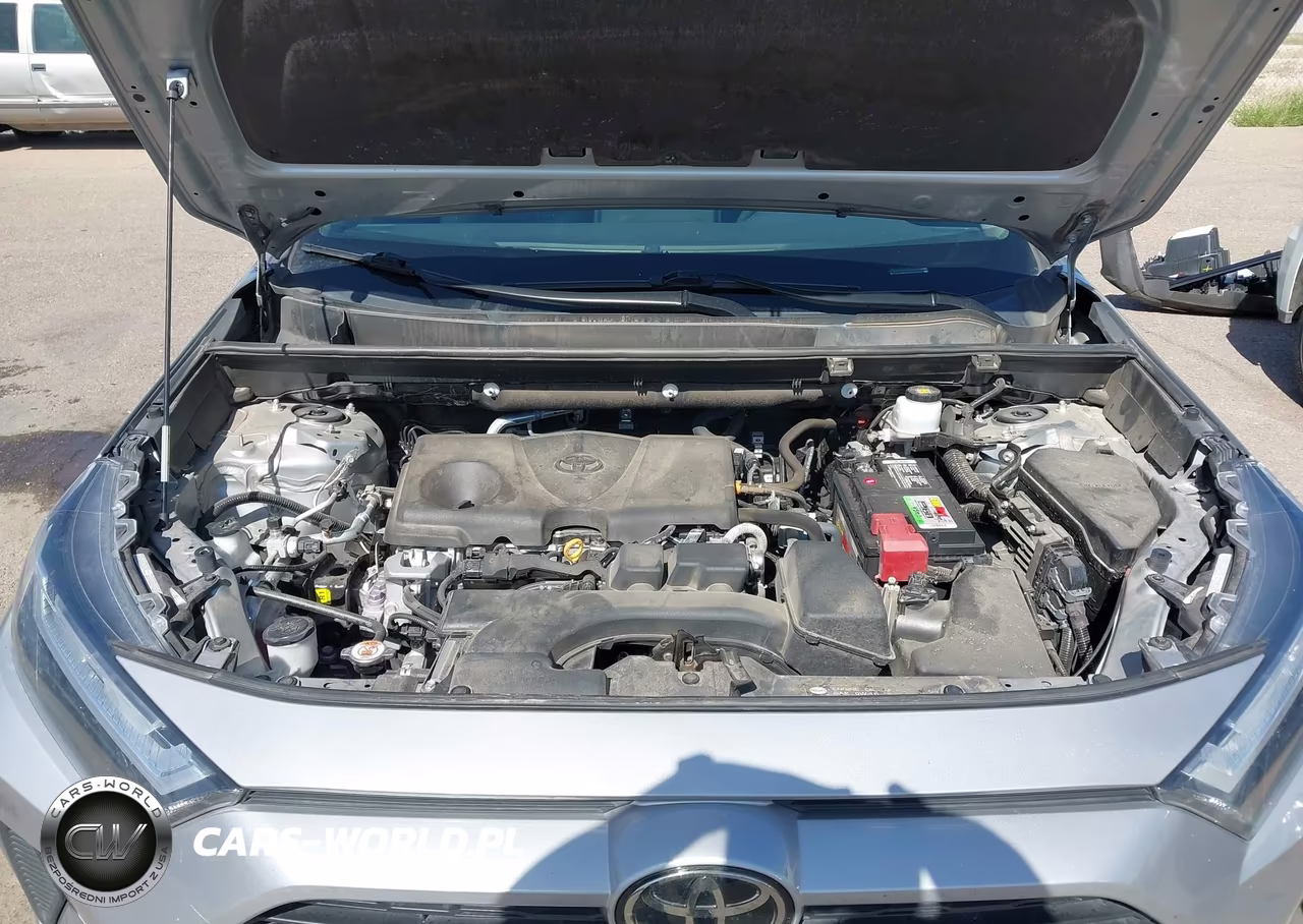 2023 Toyota Rav4 Xle VIN:2T3W1RFV3PW244004 - 10