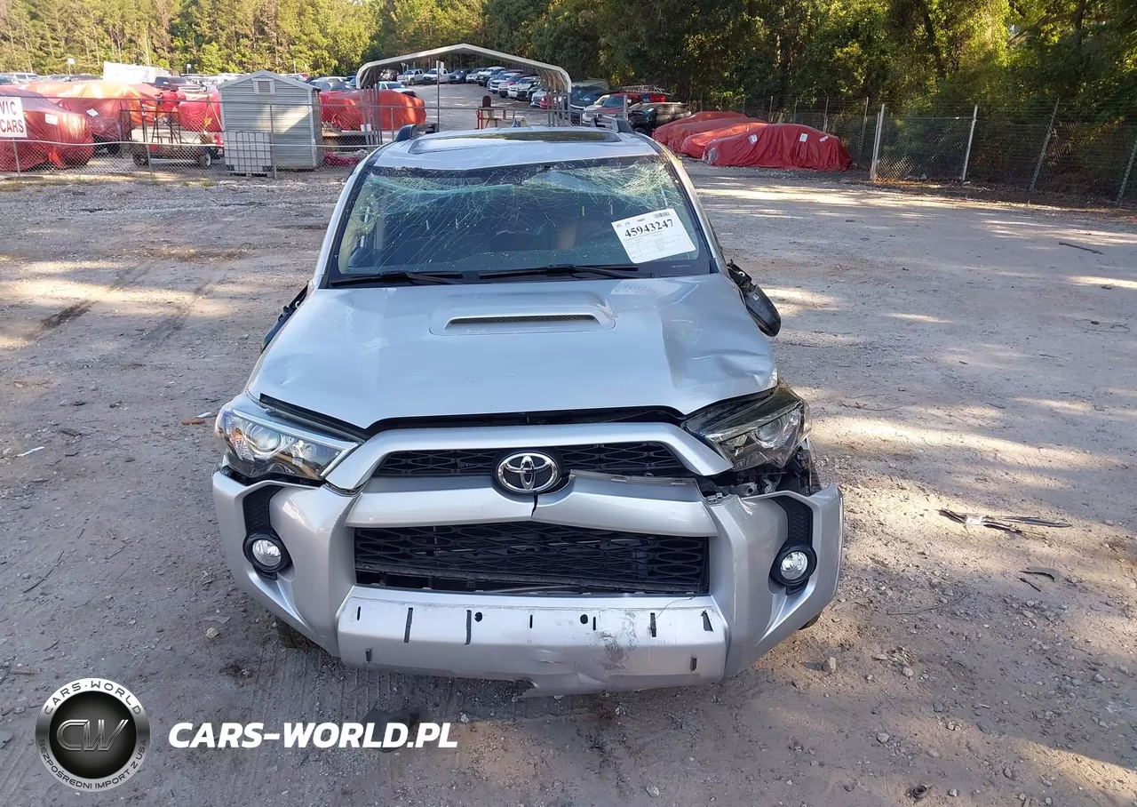 2019 Toyota 4Runner Trd Off Road Premium VIN:JTEBU5JR2K5715354 - 12