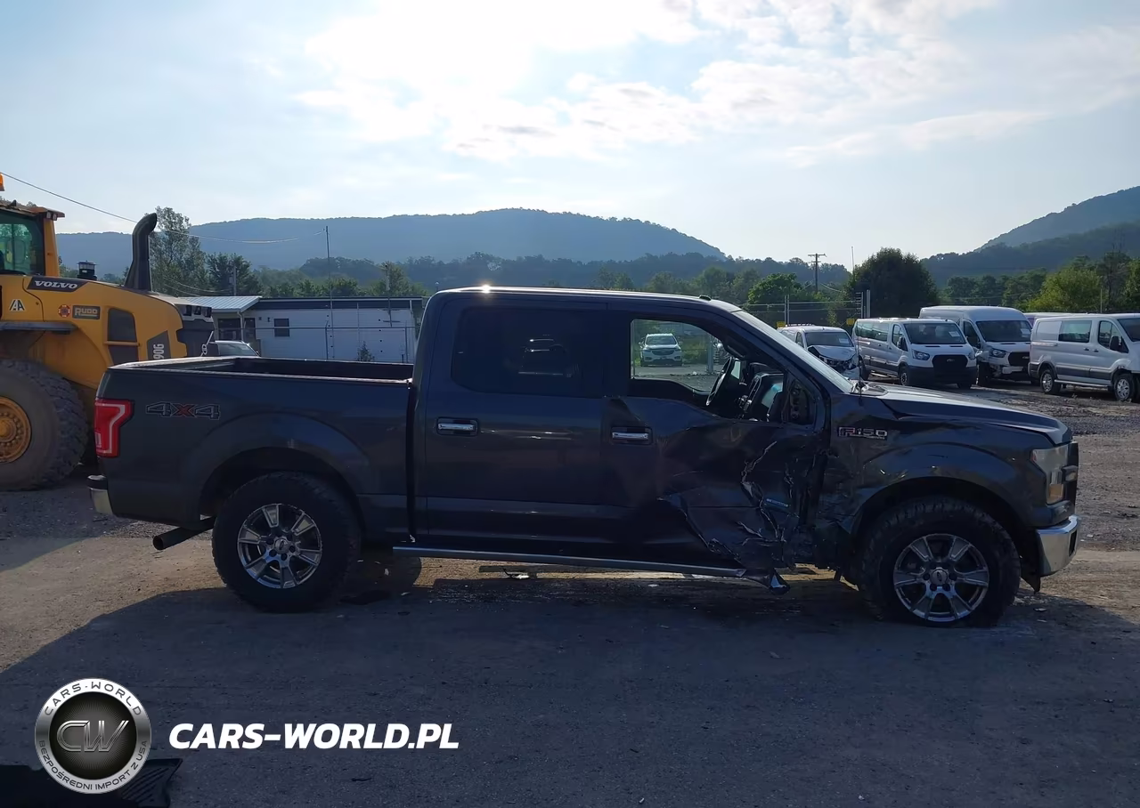 2015 Ford F150 Supercrew VIN:1FTEW1EG8FFB18223 - 14