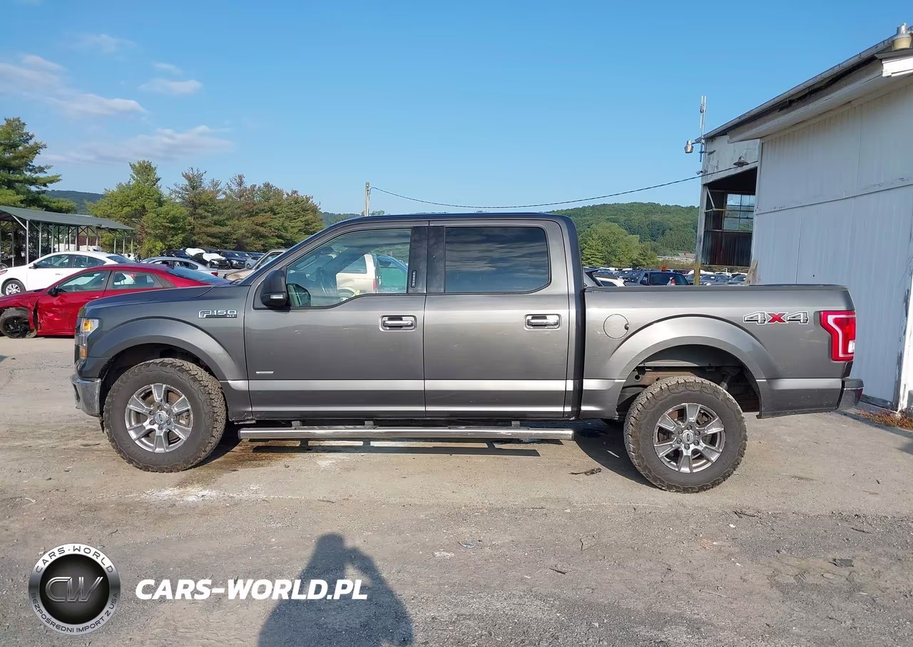 2015 Ford F150 Supercrew VIN:1FTEW1EG8FFB18223 - 15