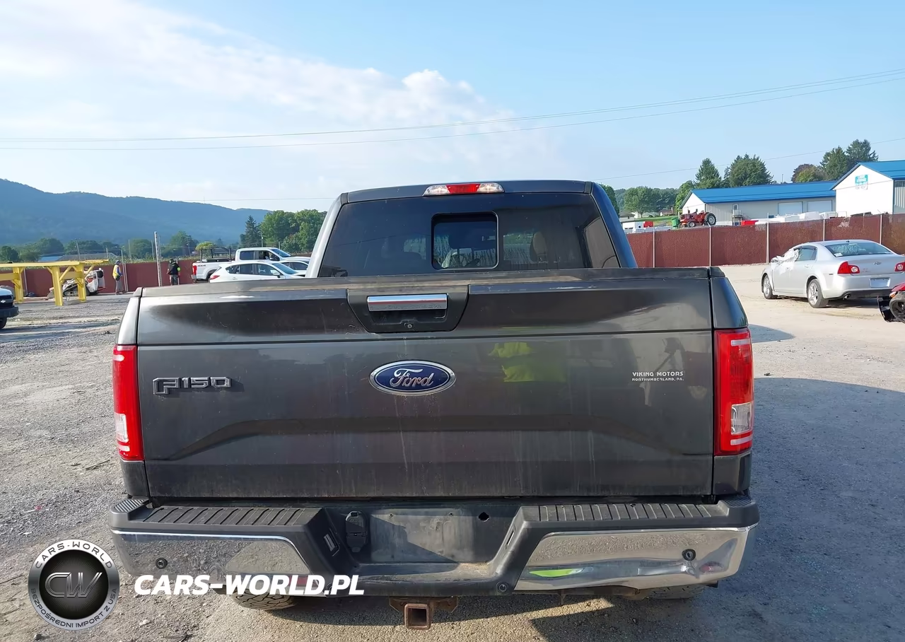 2015 Ford F150 Supercrew VIN:1FTEW1EG8FFB18223 - 17