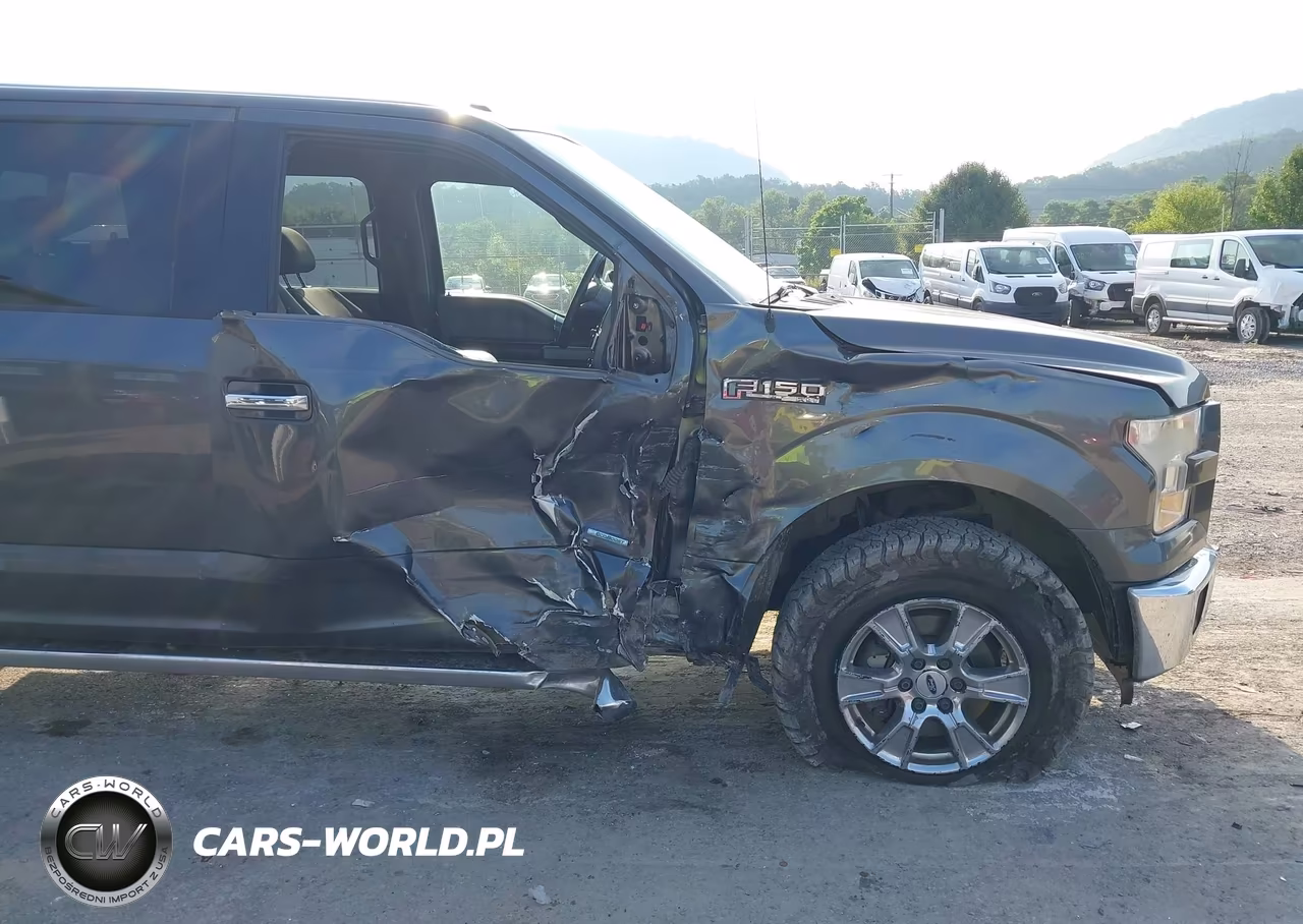 2015 Ford F150 Supercrew VIN:1FTEW1EG8FFB18223 - 18