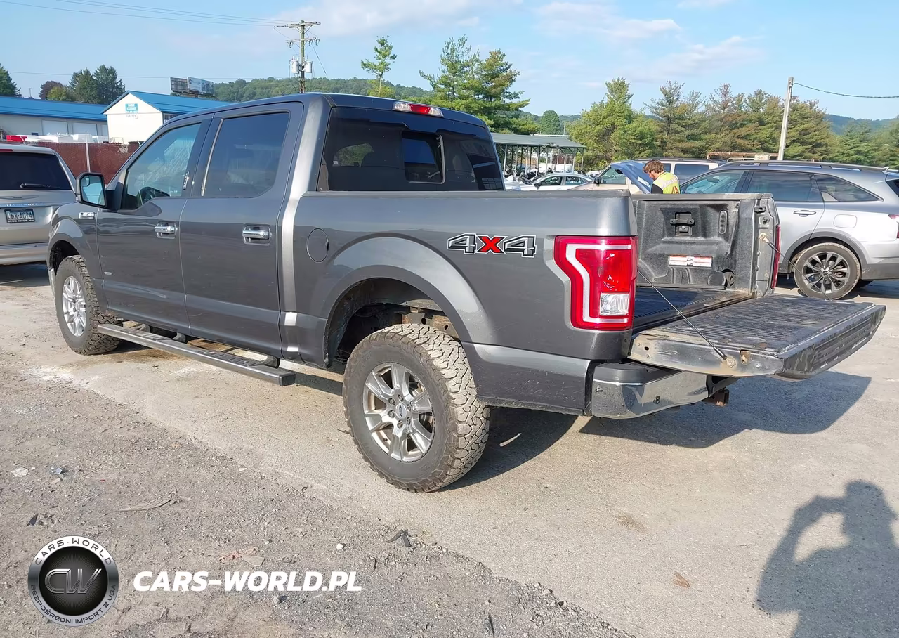 2015 Ford F150 Supercrew VIN:1FTEW1EG8FFB18223 - 3