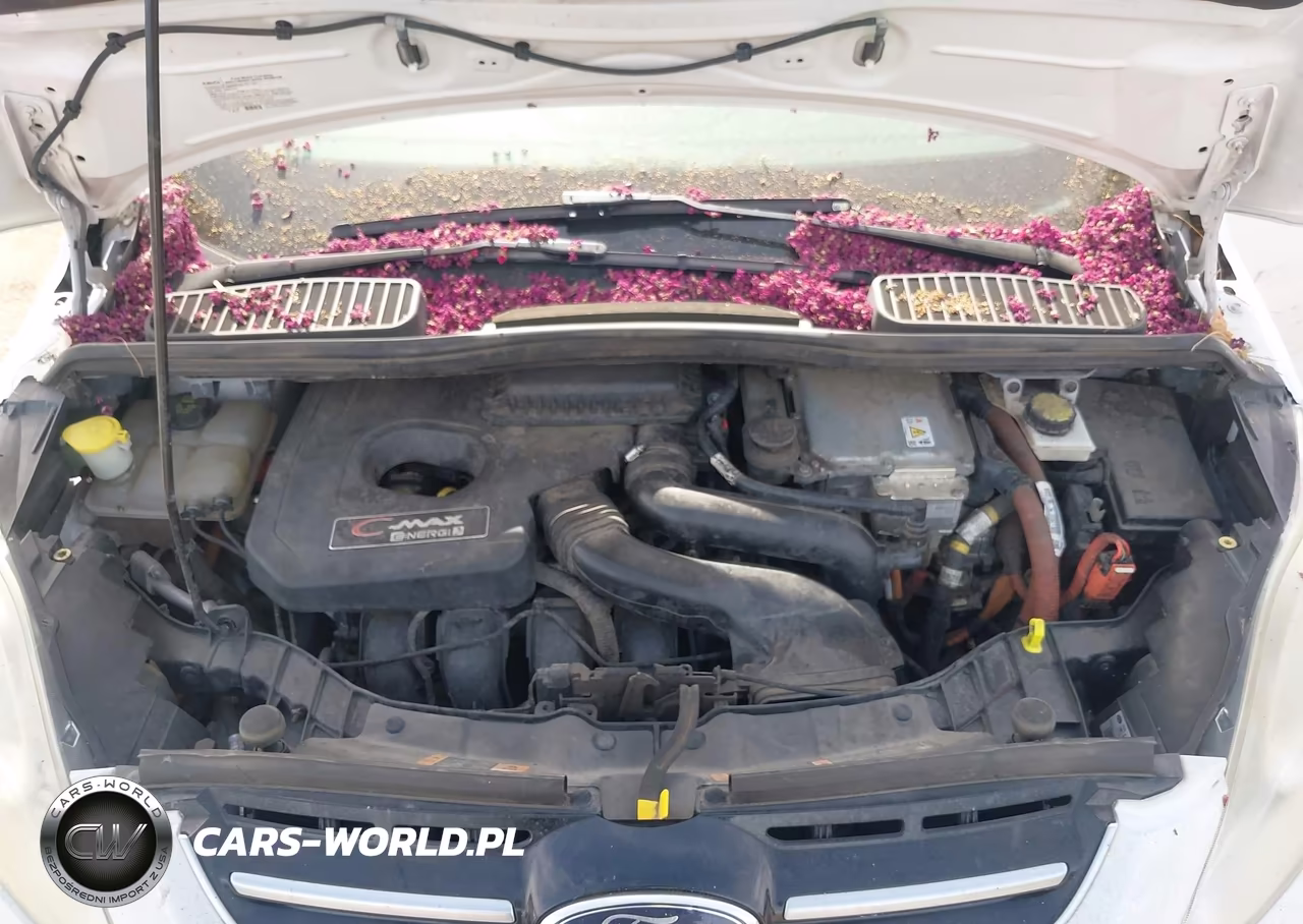 2014 Ford C-Max Energi Sel VIN:1FADP5CU7EL507093 - 10