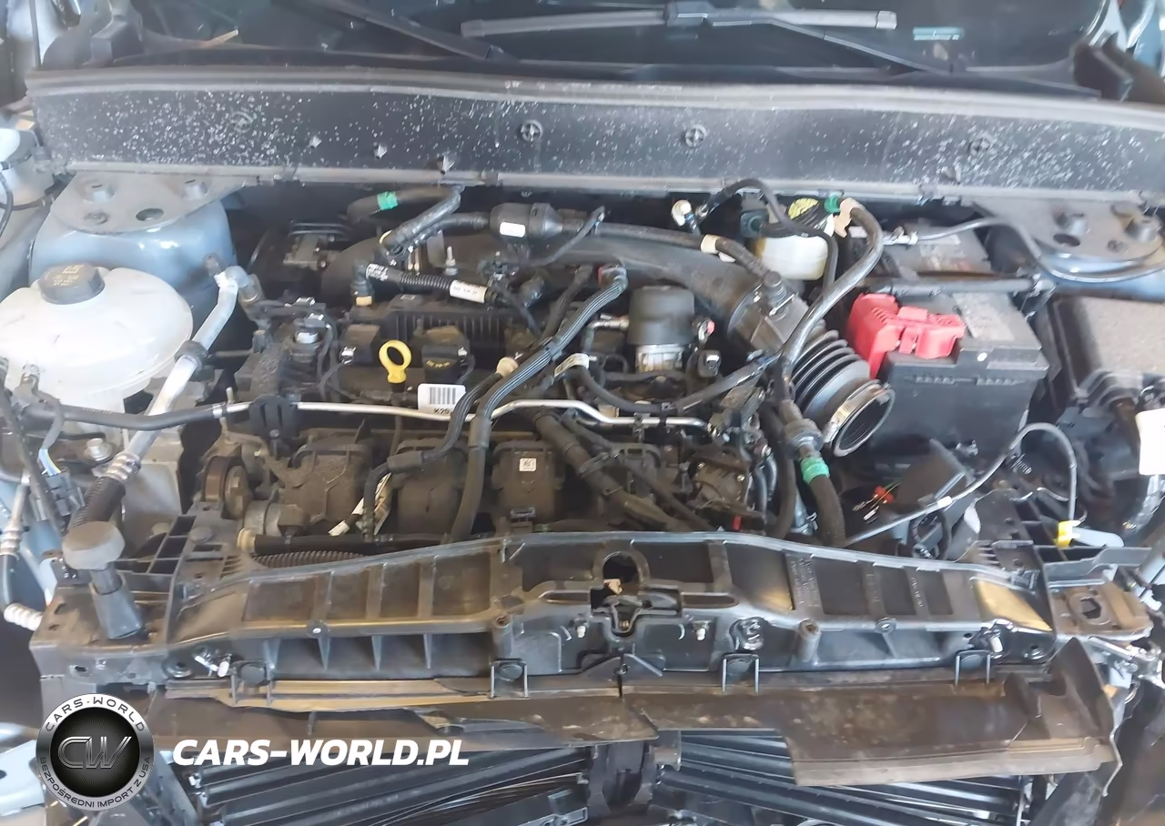 2024 Ford Bronco Sport Badlands VIN:3FMCR9D94RRF13499 - 10