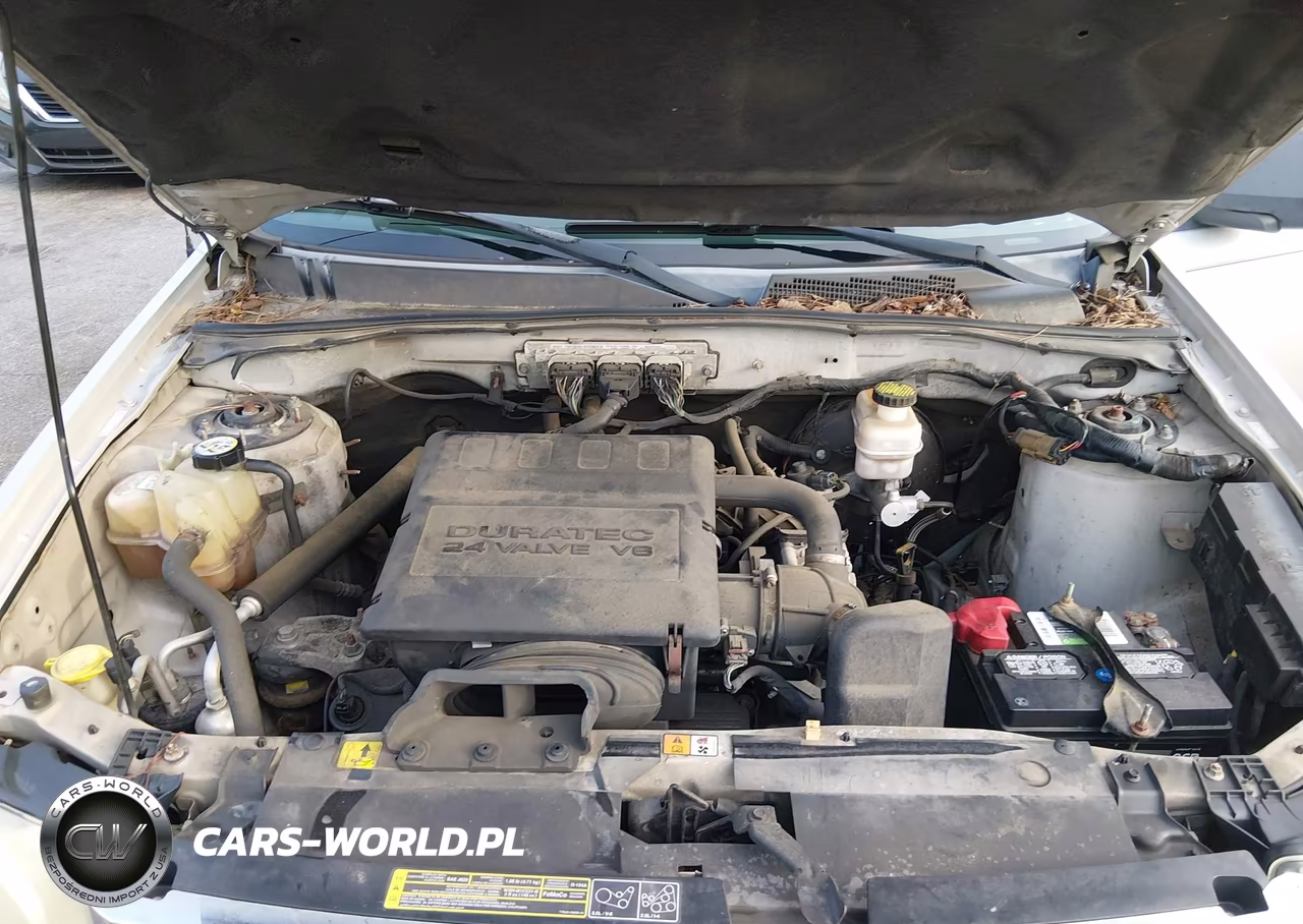 2009 Ford Escape Xlt VIN:1FMCU93G69KB70035 - 10