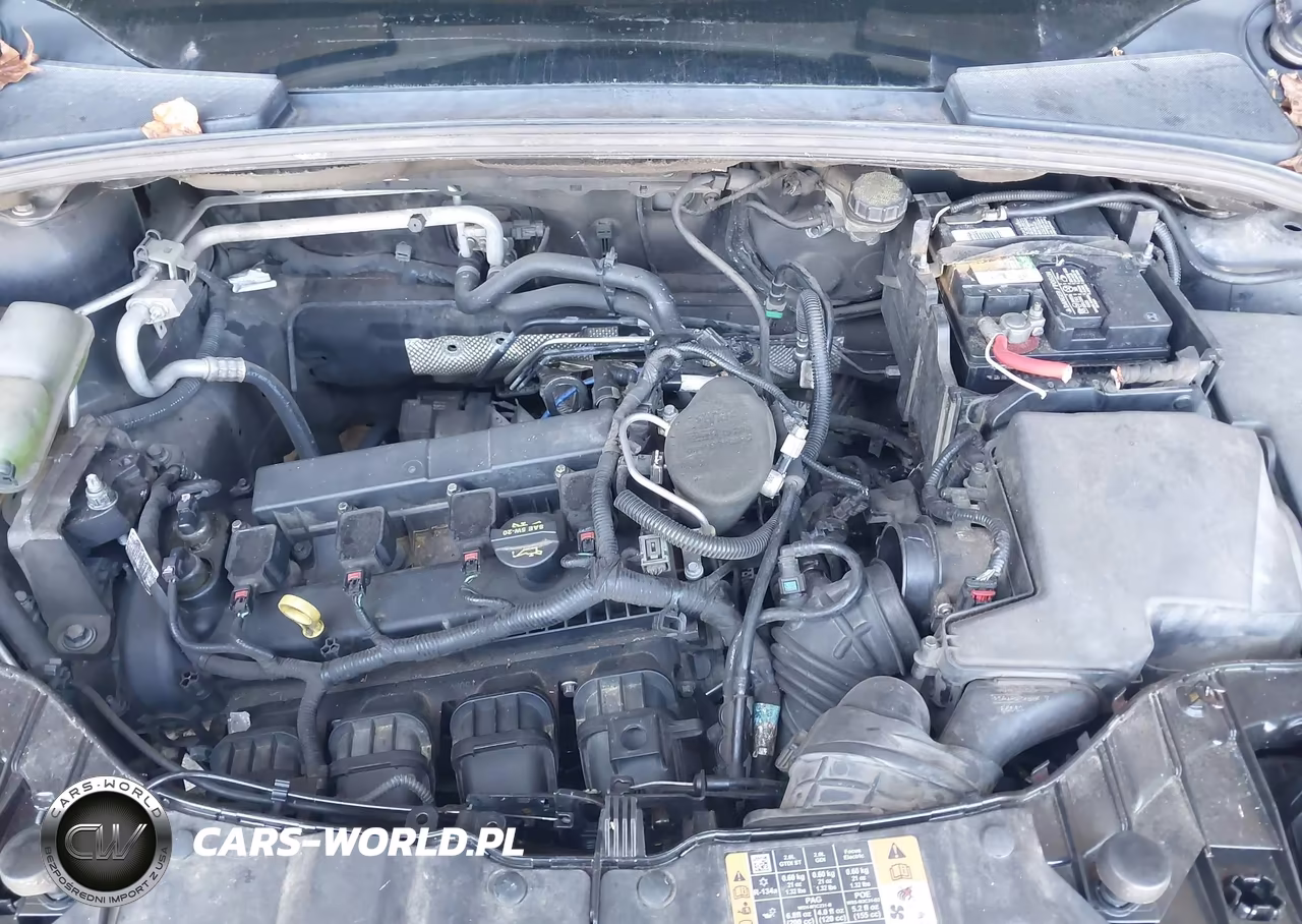 2013 Ford Focus Titanium VIN:1FADP3J2XDL334416 - 10