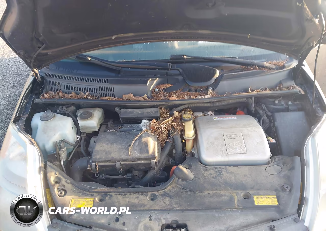 2007 Toyota Prius VIN:JTDKB20U273256618 - 10