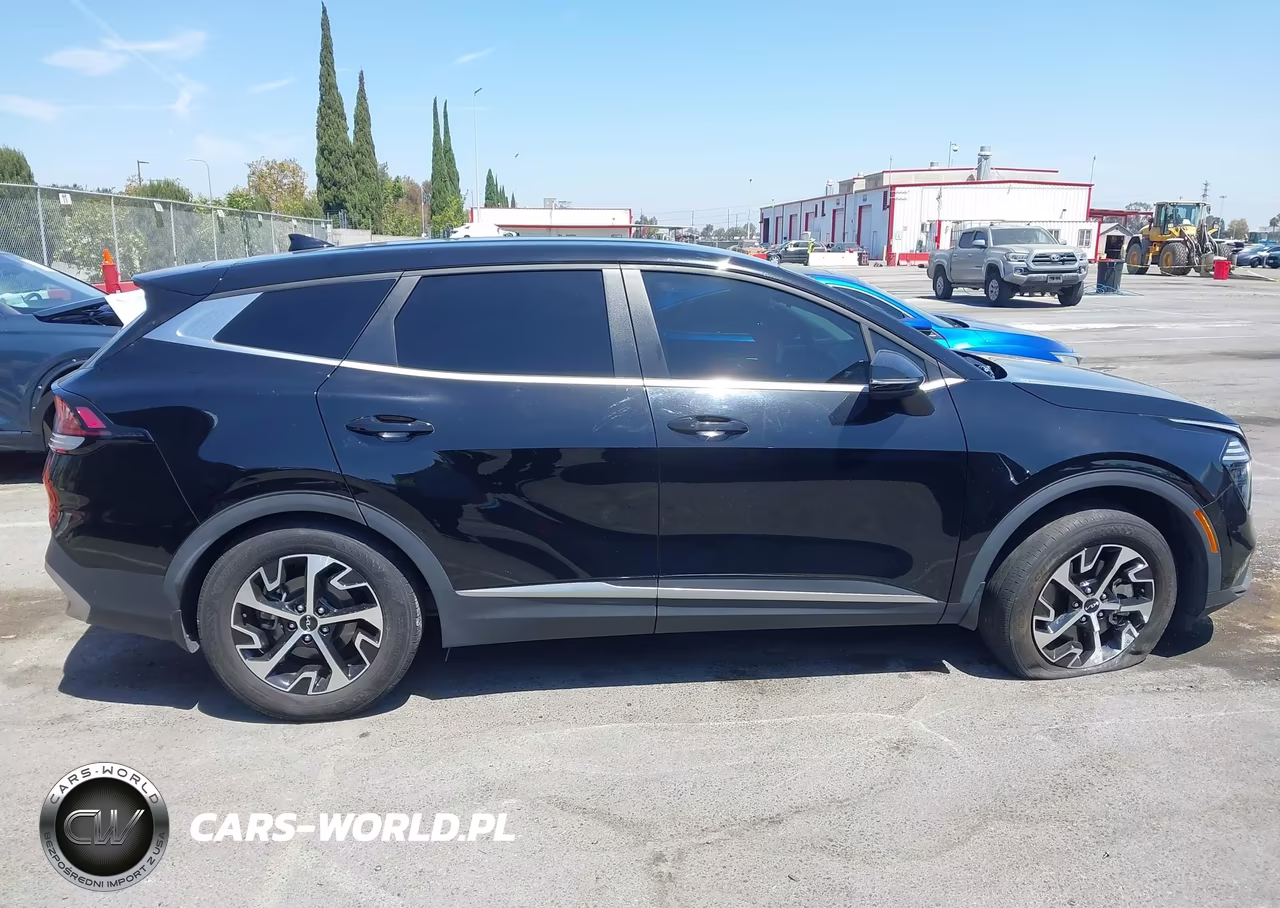 2024 Kia Sportage Ex VIN:5XYK33DF3RG167282 - 13