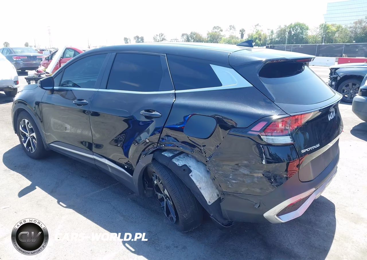 2024 Kia Sportage Ex VIN:5XYK33DF3RG167282 - 3