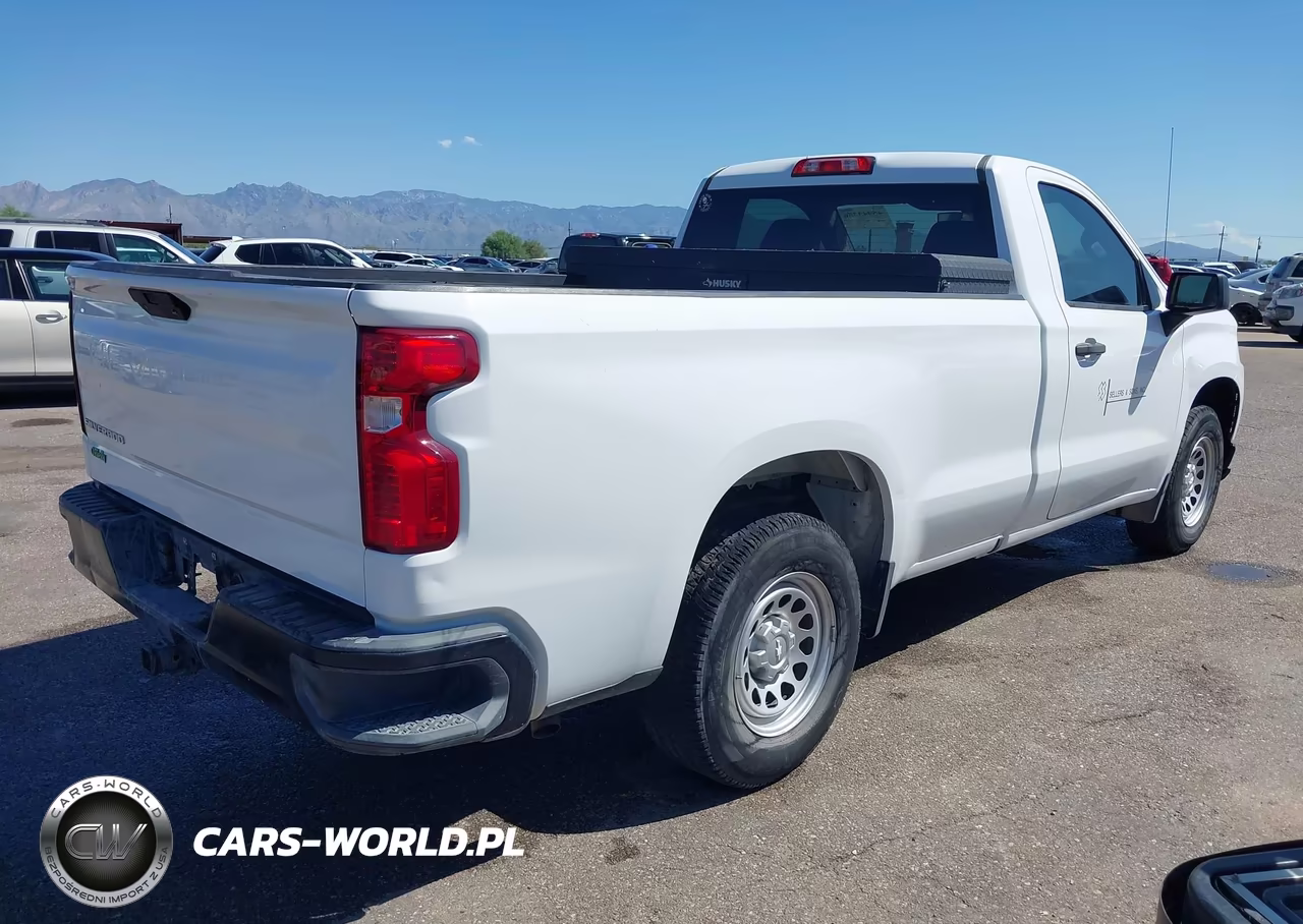 2020 Chevrolet Silverado 1500 2Wd Long Bed Wt VIN:3GCNWAEF7LG206066 - 4