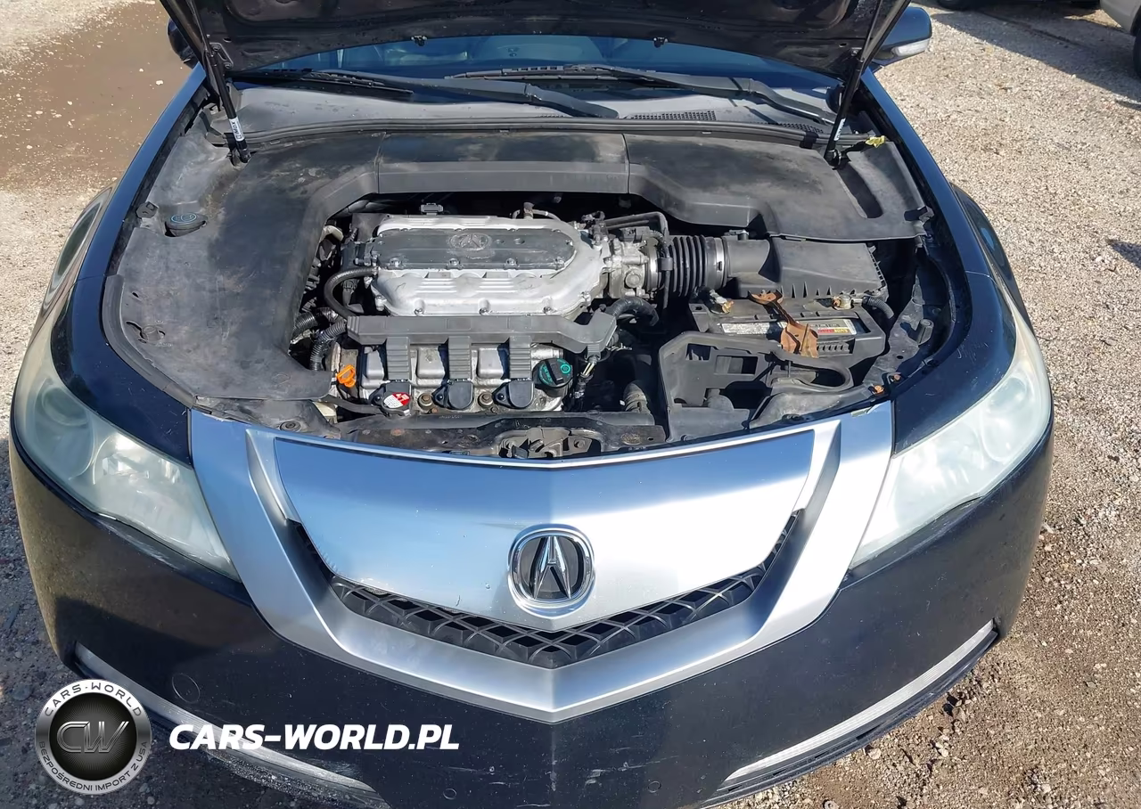 2009 Acura Tl 3.5 VIN:19UUA86519A025479 - 10