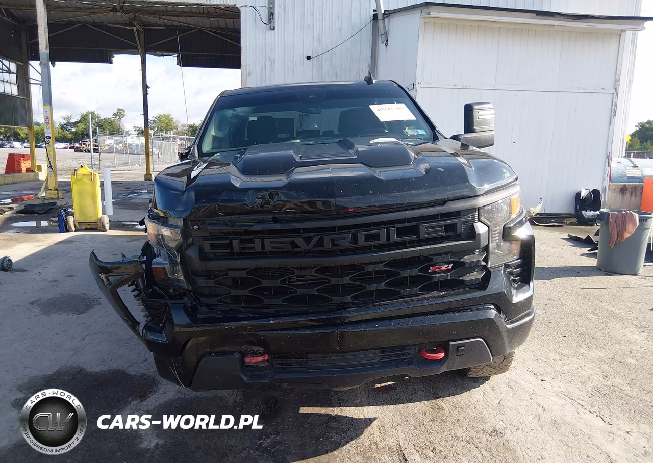 2022 Chevrolet Silverado 1500 Custom Trail Boss VIN:3GCPDCEK6NG645740 - 12