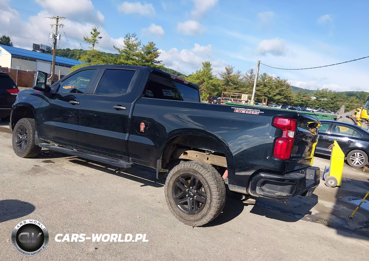 2022 Chevrolet Silverado 1500 Custom Trail Boss VIN:3GCPDCEK6NG645740 - 3