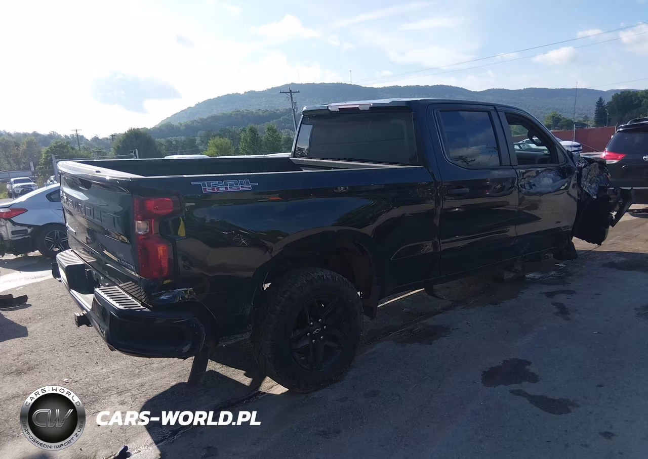 2022 Chevrolet Silverado 1500 Custom Trail Boss VIN:3GCPDCEK6NG645740 - 4
