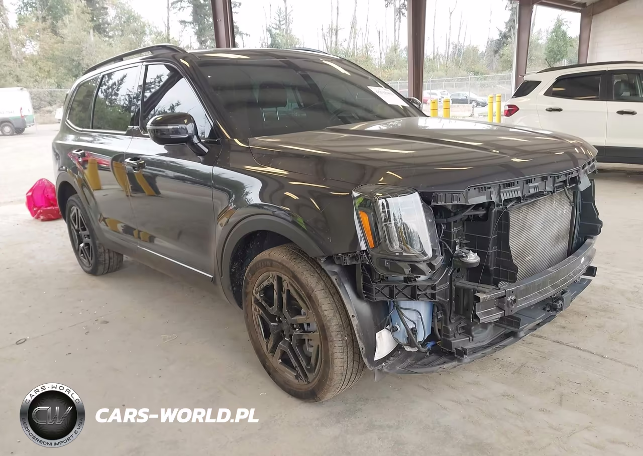 2025 Kia Telluride Sx X-Line VIN:5XYP5DGC0SG698291 - 1