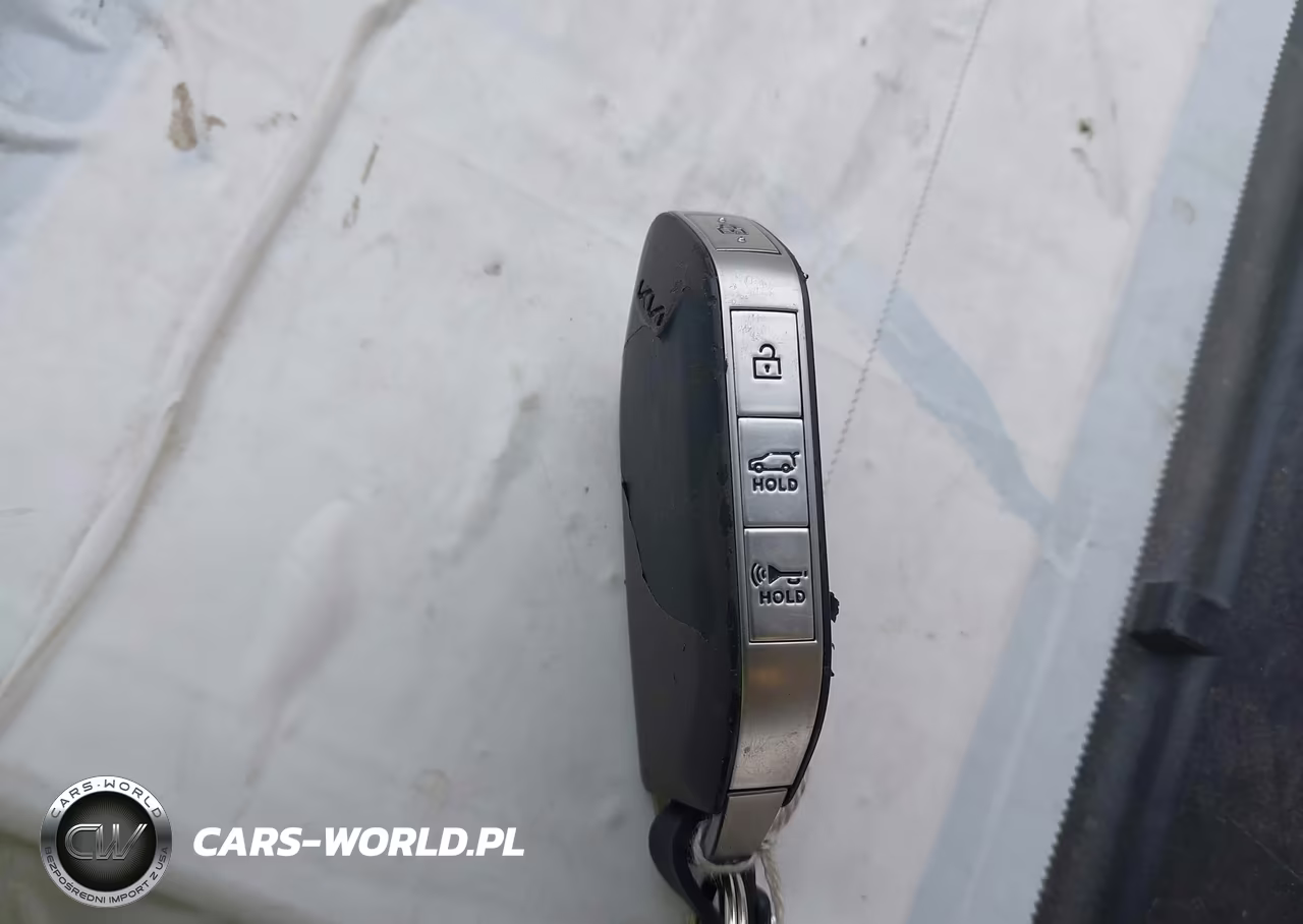 2025 Kia Telluride Sx X-Line VIN:5XYP5DGC0SG698291 - 11