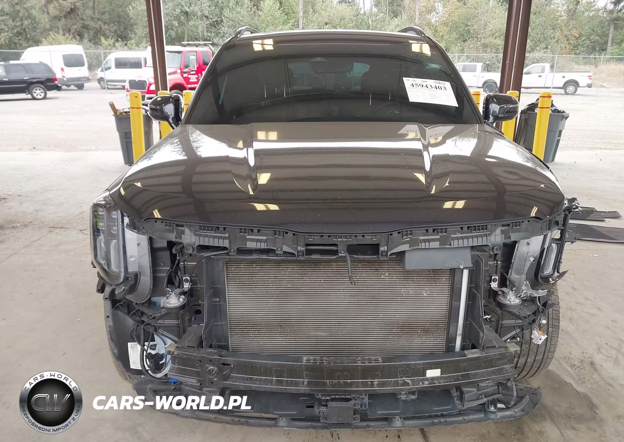 2025 Kia Telluride Sx X-Line VIN:5XYP5DGC0SG698291 - 13