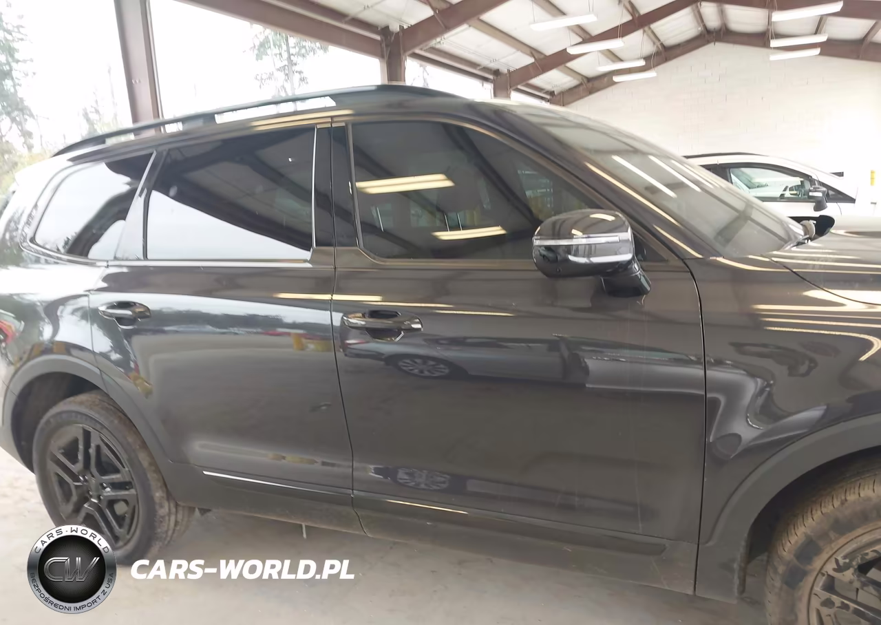 2025 Kia Telluride Sx X-Line VIN:5XYP5DGC0SG698291 - 14