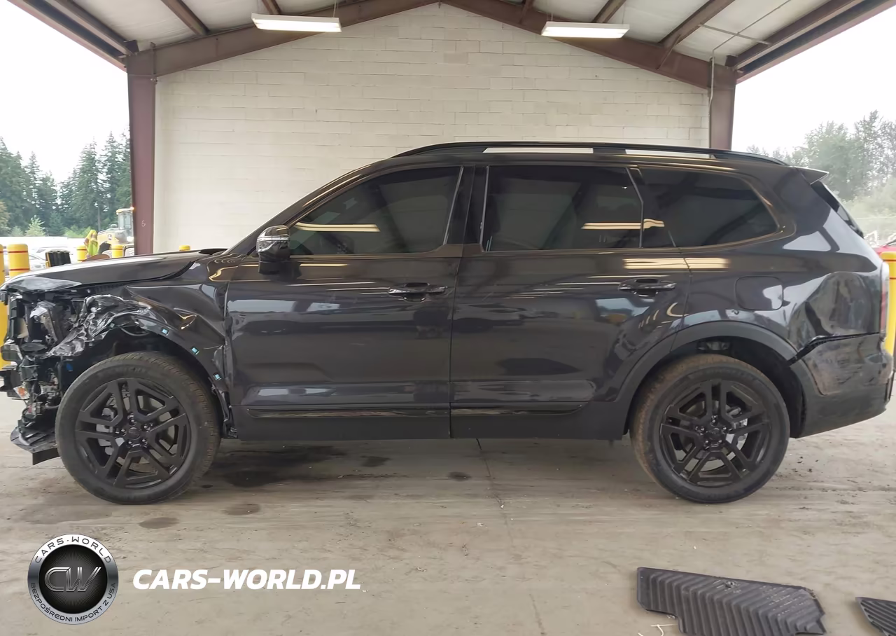 2025 Kia Telluride Sx X-Line VIN:5XYP5DGC0SG698291 - 15