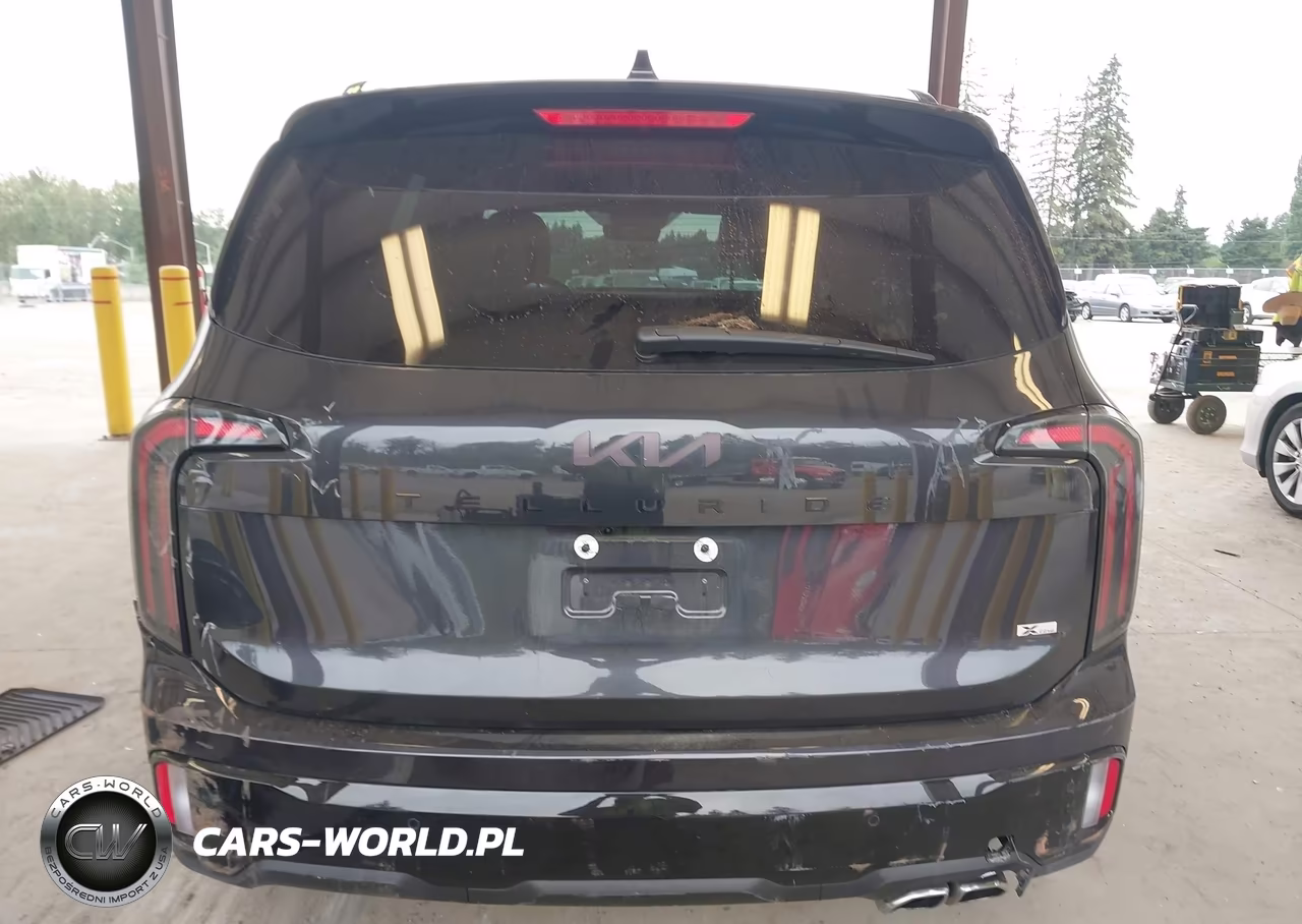 2025 Kia Telluride Sx X-Line VIN:5XYP5DGC0SG698291 - 17