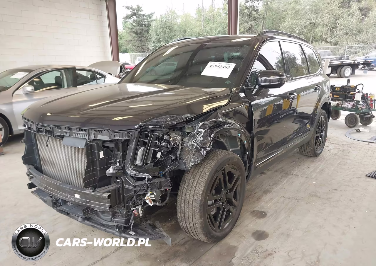 2025 Kia Telluride Sx X-Line VIN:5XYP5DGC0SG698291 - 2