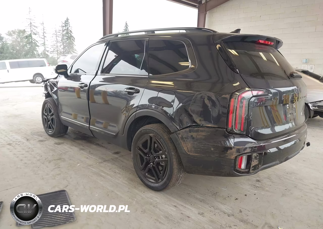 2025 Kia Telluride Sx X-Line VIN:5XYP5DGC0SG698291 - 3