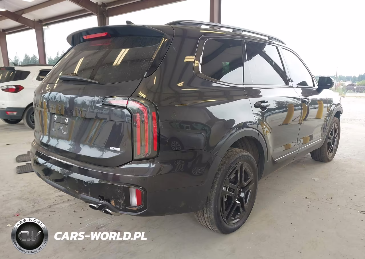 2025 Kia Telluride Sx X-Line VIN:5XYP5DGC0SG698291 - 4