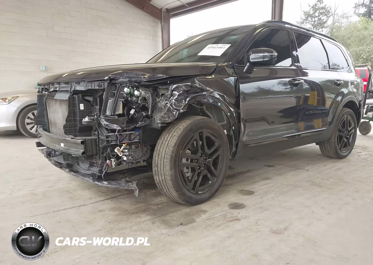 2025 Kia Telluride Sx X-Line VIN:5XYP5DGC0SG698291 - 6